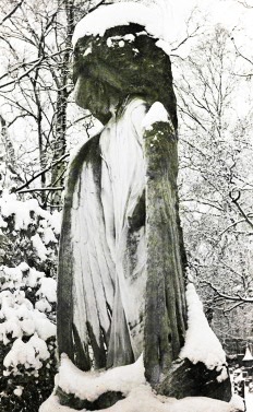 Stone Angel Snow